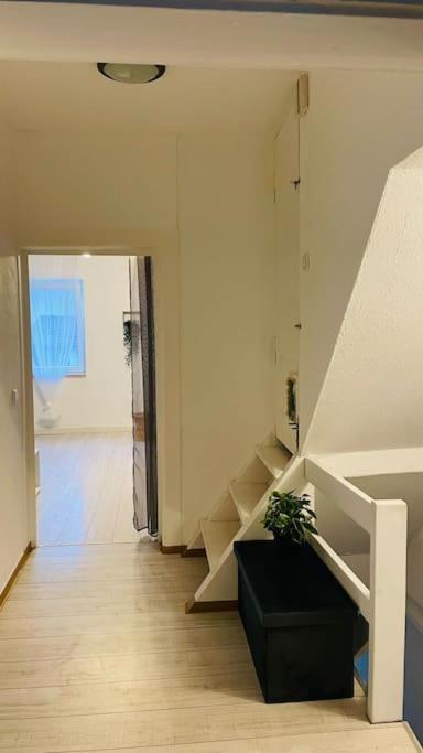 Wohnung Im Zentrum Von אלבשטאדט מראה חיצוני תמונה